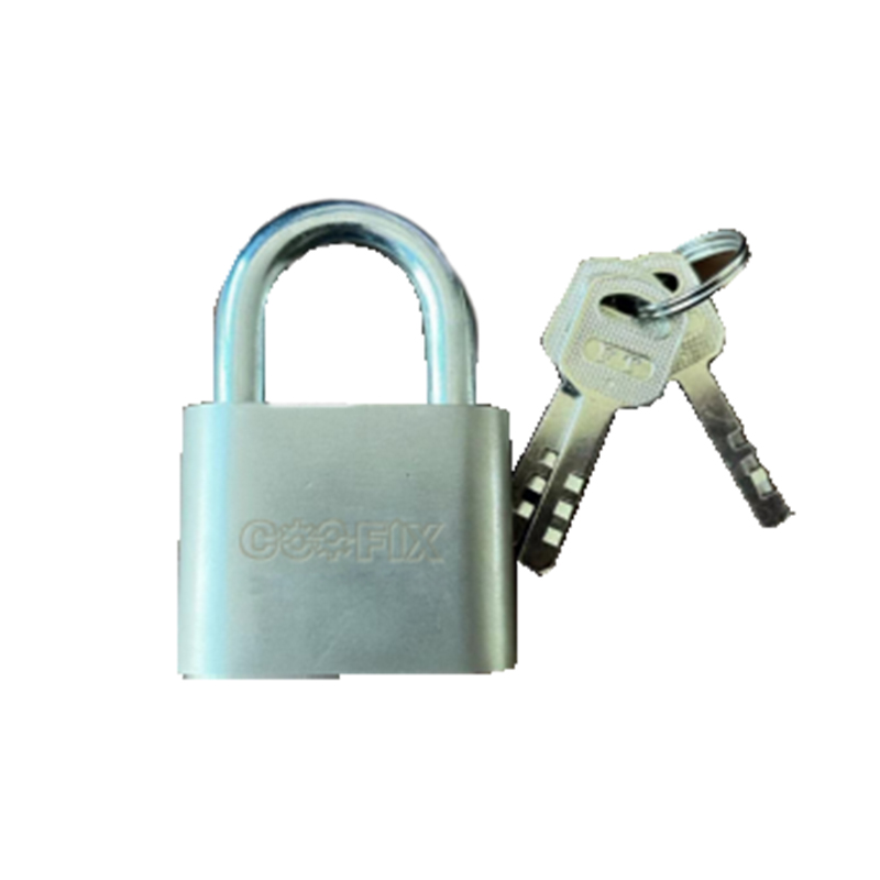 CFH-P01021